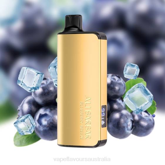 Vape Flavours Australia - Alibarbar Ingot 20000 Disposable Vape Blueberry Breeze F8RD32