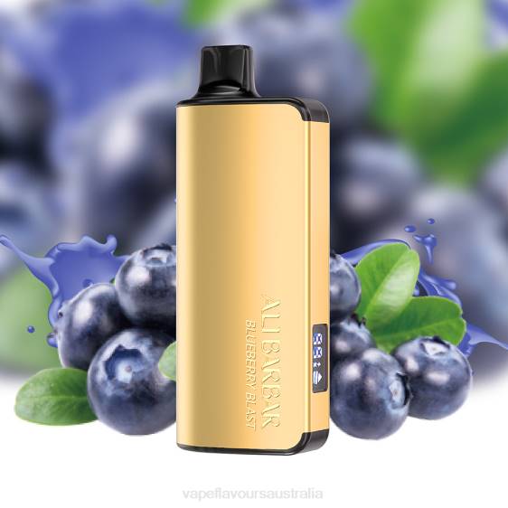 Vape Liquid - Alibarbar Ingot 9000 Disposable Vape Blueberry Blast F8RD15