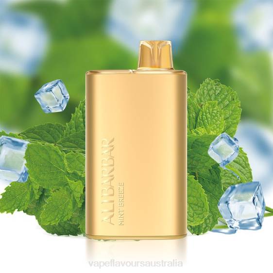 Vape Nicotine Australia - Alibarbar Rich 8000 Disposable Vape Mint Breeze F8RD8
