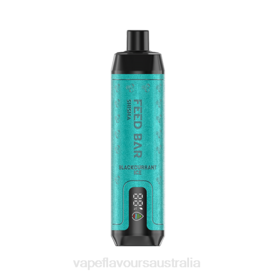 Vape Australia - Vapsolo SHISHA Disposable Vape Blackcurrant Ice F8RD96