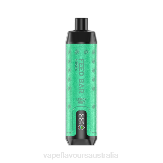 Vape Australia - Vapsolo SHISHA Disposable Vape Lemon Mint F8RD101