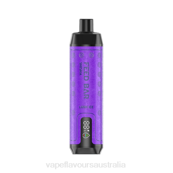Vape Flavours Australia - Vapsolo SHISHA Disposable Vape Lush Ice F8RD102
