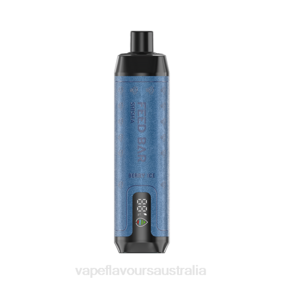 Vape Liquid - Vapsolo SHISHA Disposable Vape Berry Ice F8RD95