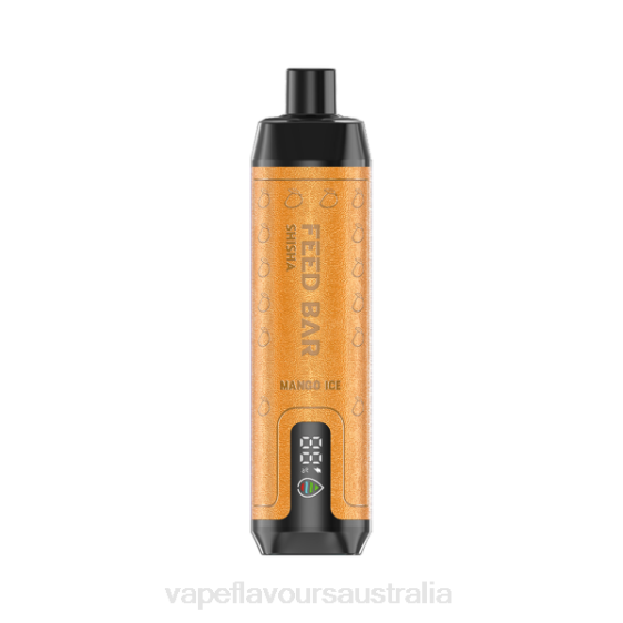 Vape Nicotine Australia - Vapsolo SHISHA Disposable Vape Mango Ice F8RD103