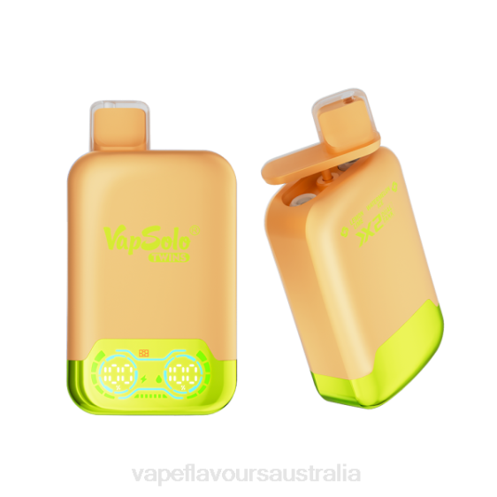 Vape Nicotine Australia - Vapsolo TWINS Disposable Vape Lemone Lime & Watermelon Ice F8RD123