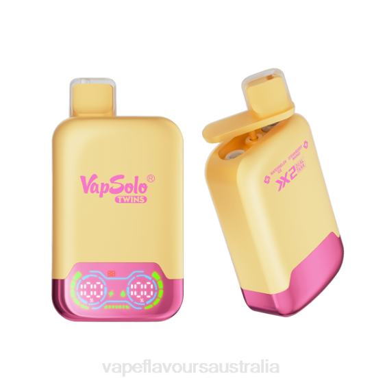 Vape Pod Kit - Vapsolo TWINS Disposable Vape Watermelon Ice & Strawberry Mango F8RD129