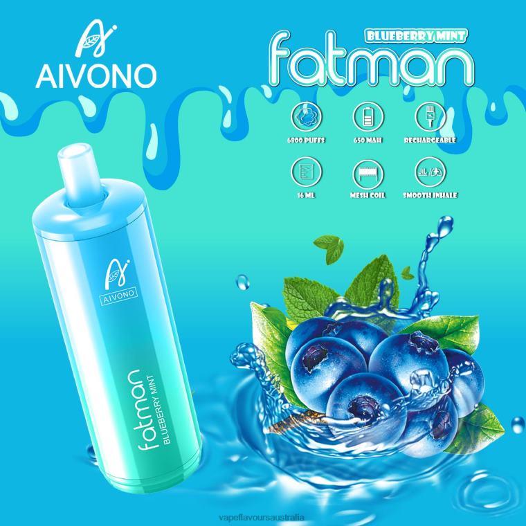 Vape Flavours Australia - Aivono FATMAN 6800 Blueberry Mint 2244022