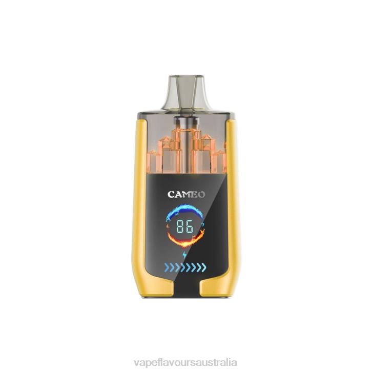 Vape Australia - LAVIE CAMEO 30000 Puffs Mango Ice J6DP21