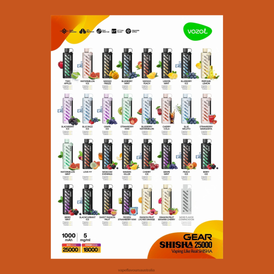 Vape Australia - VOZOL Gear Shisha 25000 T02DR1
