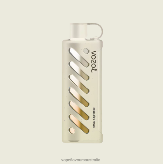 Vape Australia - VOZOL Gear Shisha 25000 T02DR1