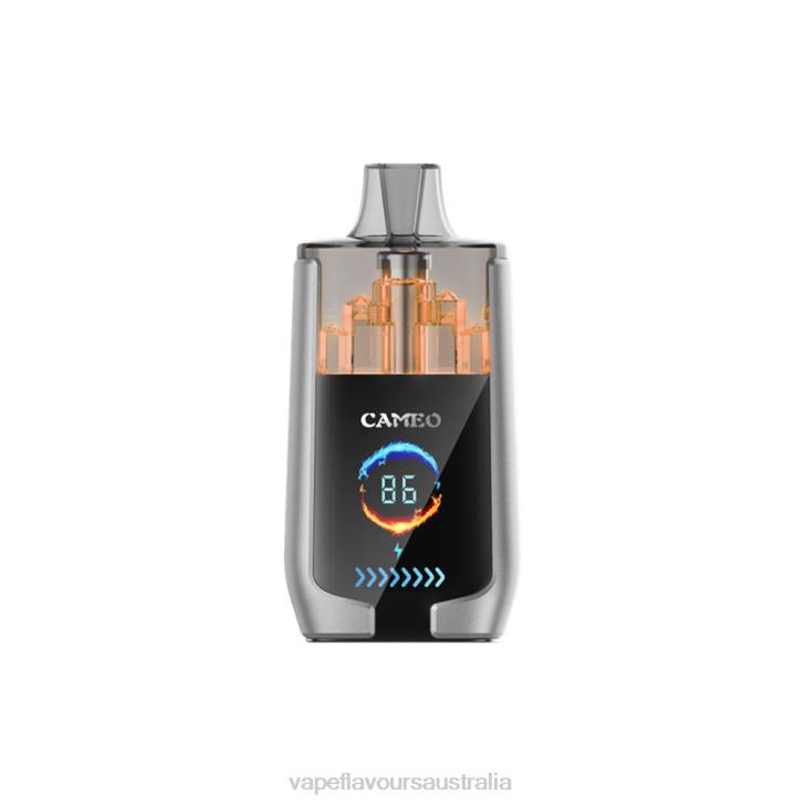 Vape Liquid - LAVIE CAMEO 30000 Puffs Blueberry Ice J6DP15