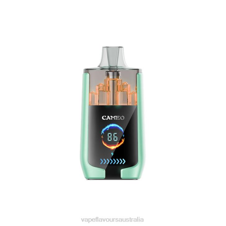 Vape Liquid - LAVIE CAMEO 30000 Puffs Double Apple J6DP20