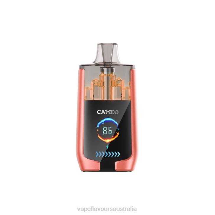 Vape Pod Kit - LAVIE CAMEO 30000 Puffs Strawberry Watermelon J6DP24